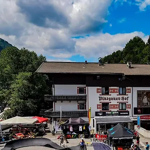 Pinzgauerhof & Bike - Inclusive Evening Dinner Austria